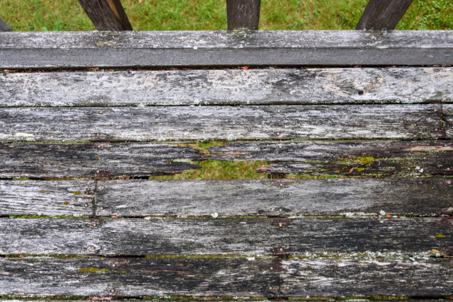 Deck Wood Rot Repair